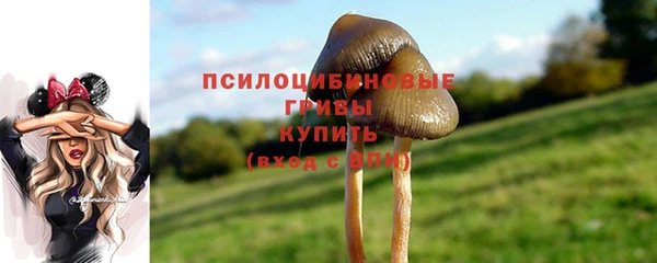 кокаин колумбия Медногорск