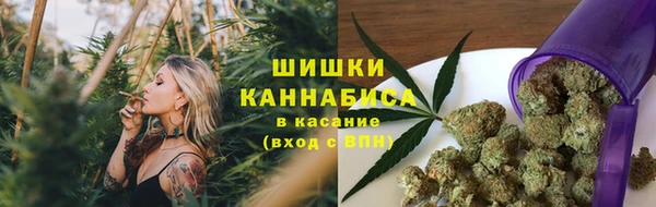 спайс Мегион